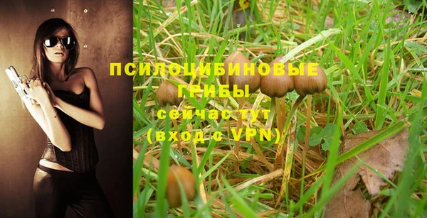 прущие крисы Липки