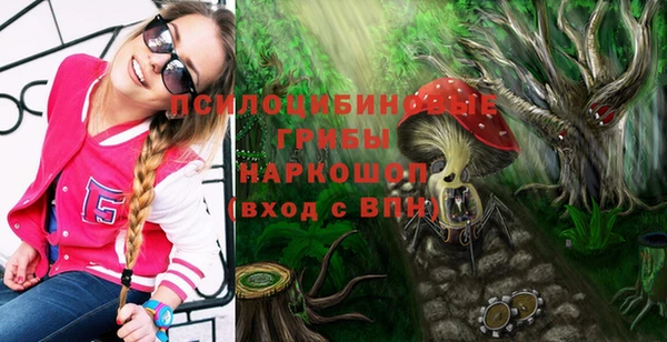 твердый Лиски
