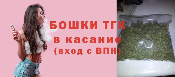 твердый Лиски