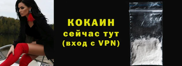 твердый Лиски