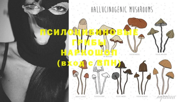 прущие крисы Липки