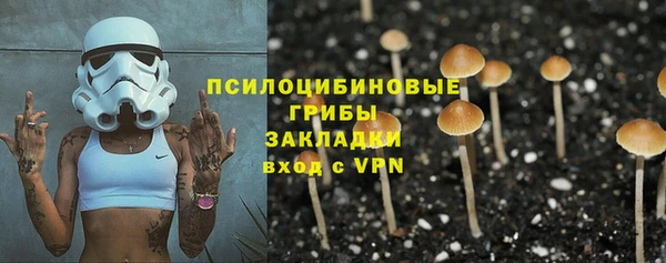 твердый Лиски