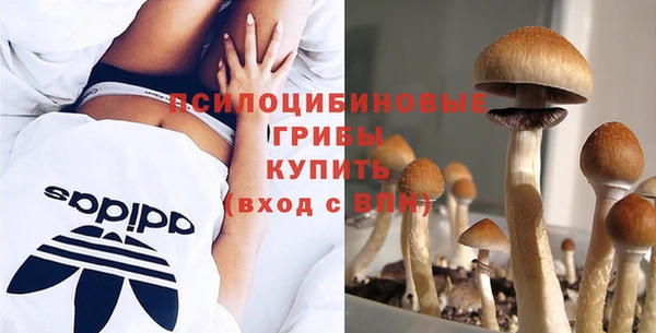 твердый Лиски